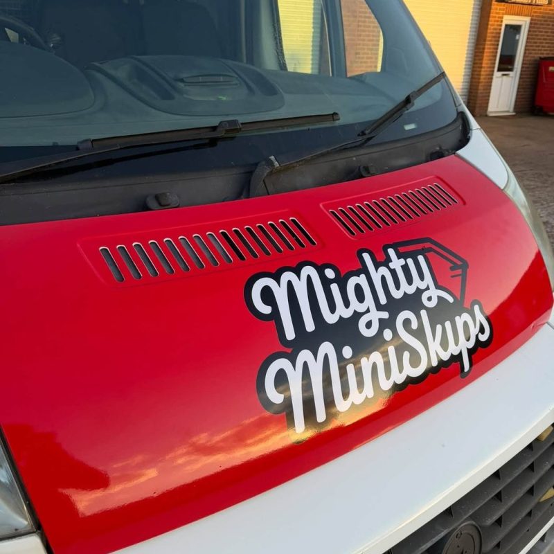 Mighty Mini Skips recent work